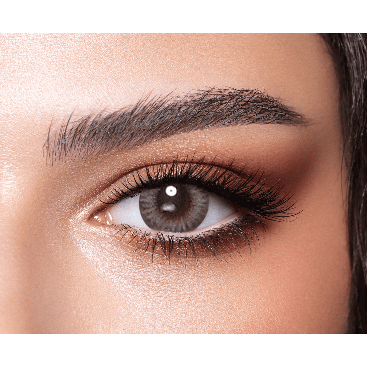 Bella One Day Color Contact Lenses Platinum Grey image number 0