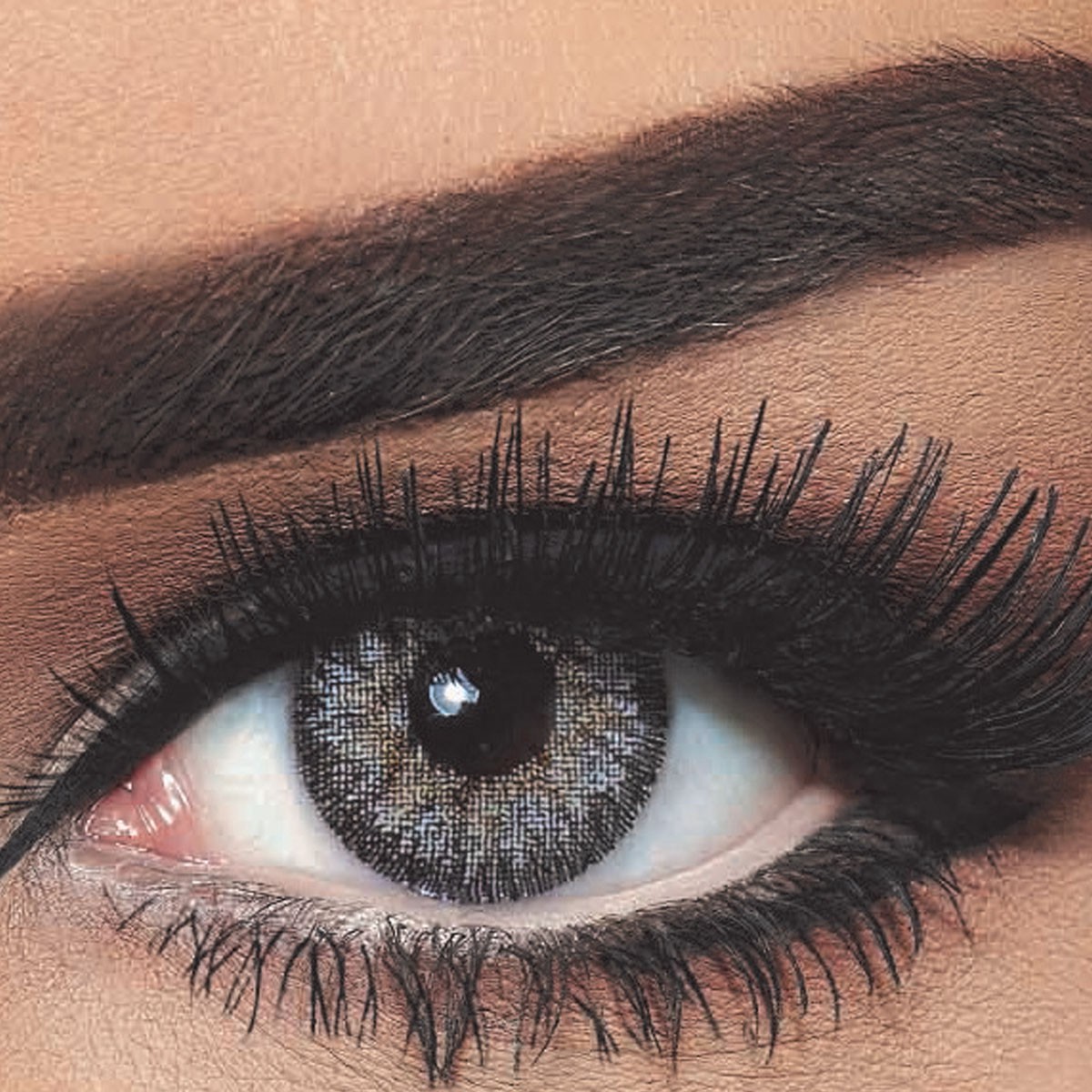 Bella Contour Color Lenses Gray image number 0