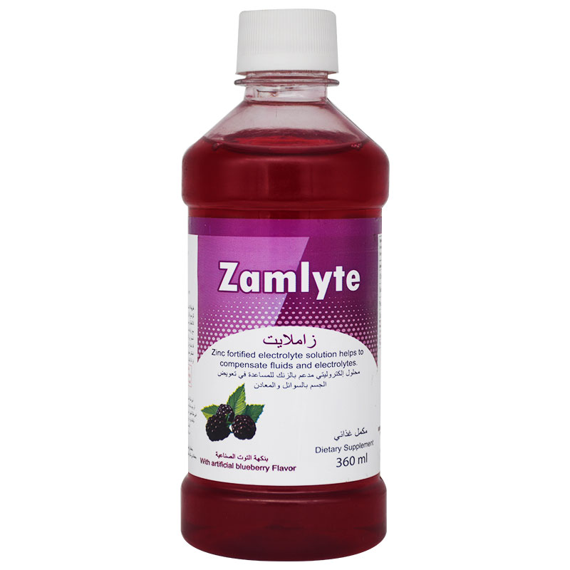 Zamlyte Blueberry Flavor Syrup 360ml image number 0
