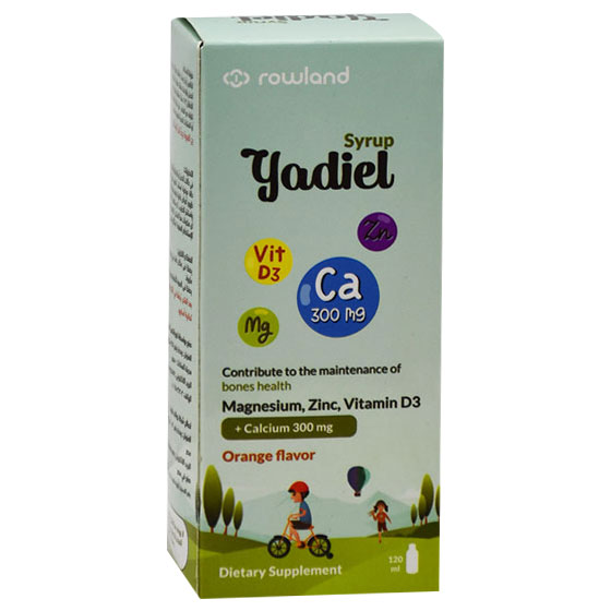 Yadiel Orange Flavor 120ml Syrup image number 0