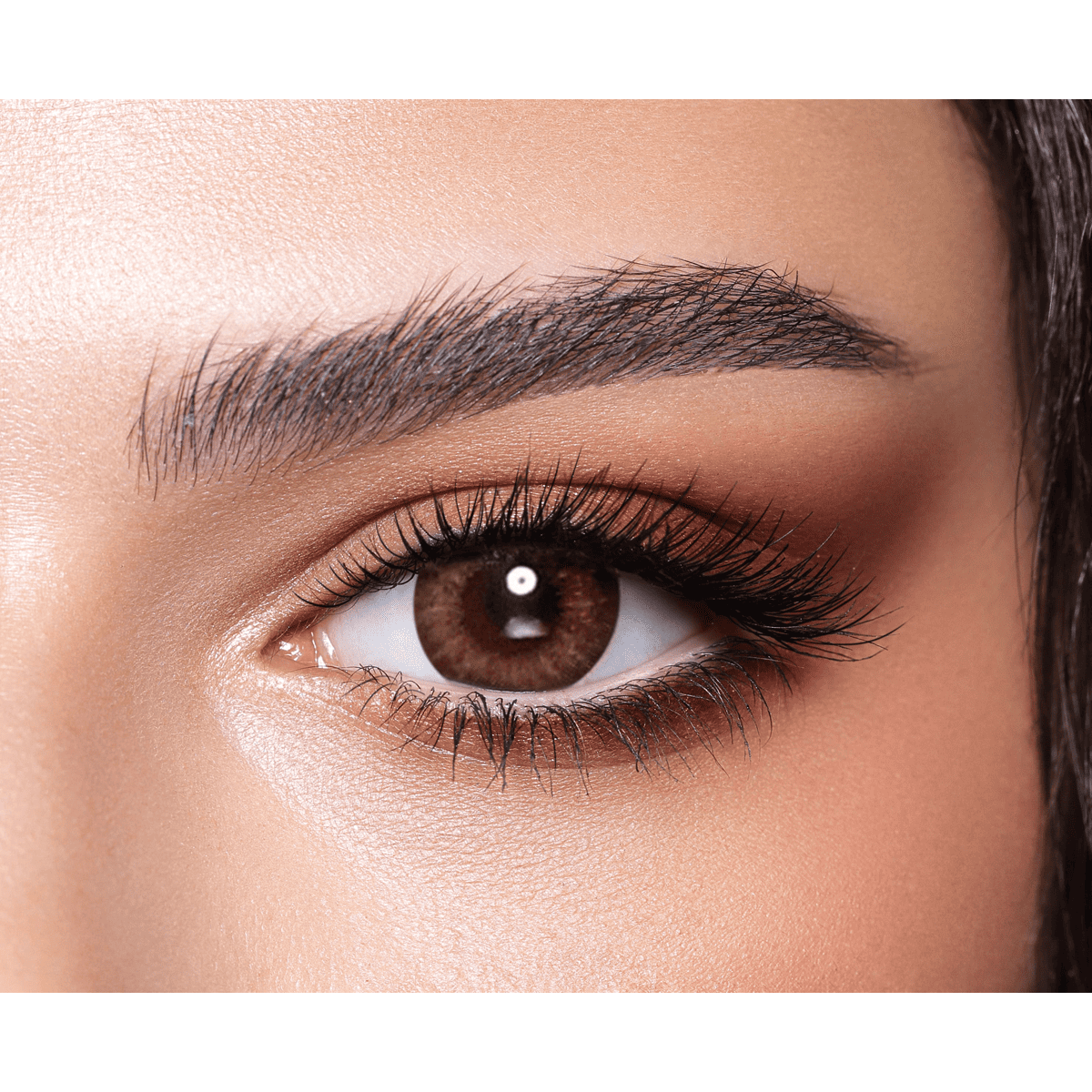 Bella One Day Color Contact Lenses Almond Brown image number 0