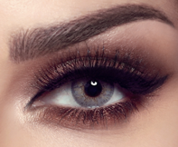 Bella Elite Color Lenses Gray Beige image number 0