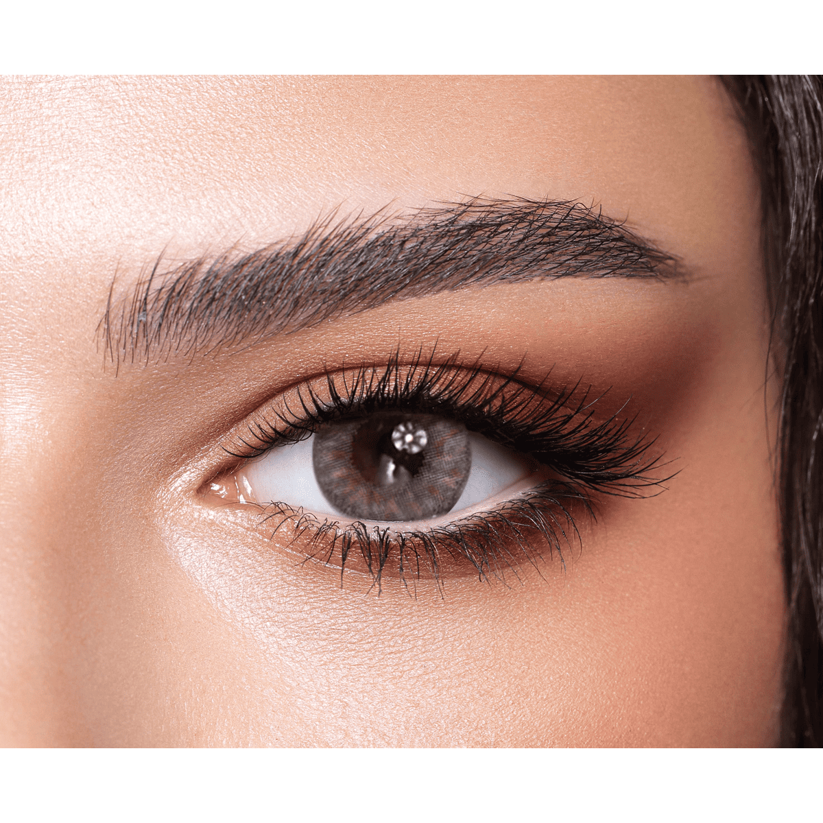 Bella One Day Color Contact Lenses Rosewood image number 0