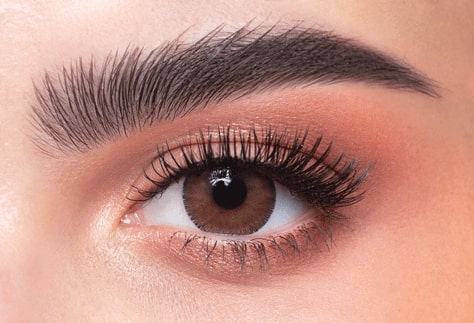 Dahab Daily Soft Contact Lenses Argan/28 image number 0