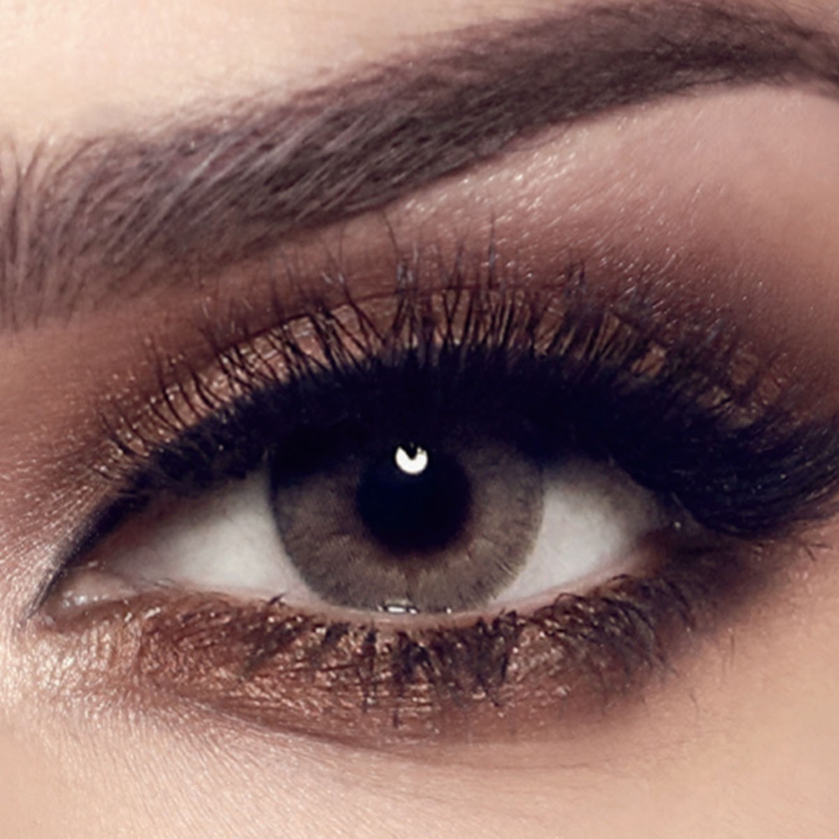Bella Elite Color Lenses Sandy Gray image number 0